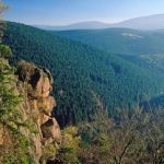 Harz Omgeving