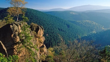 Harz Omgeving