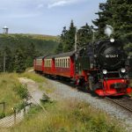Smalspoor Trein