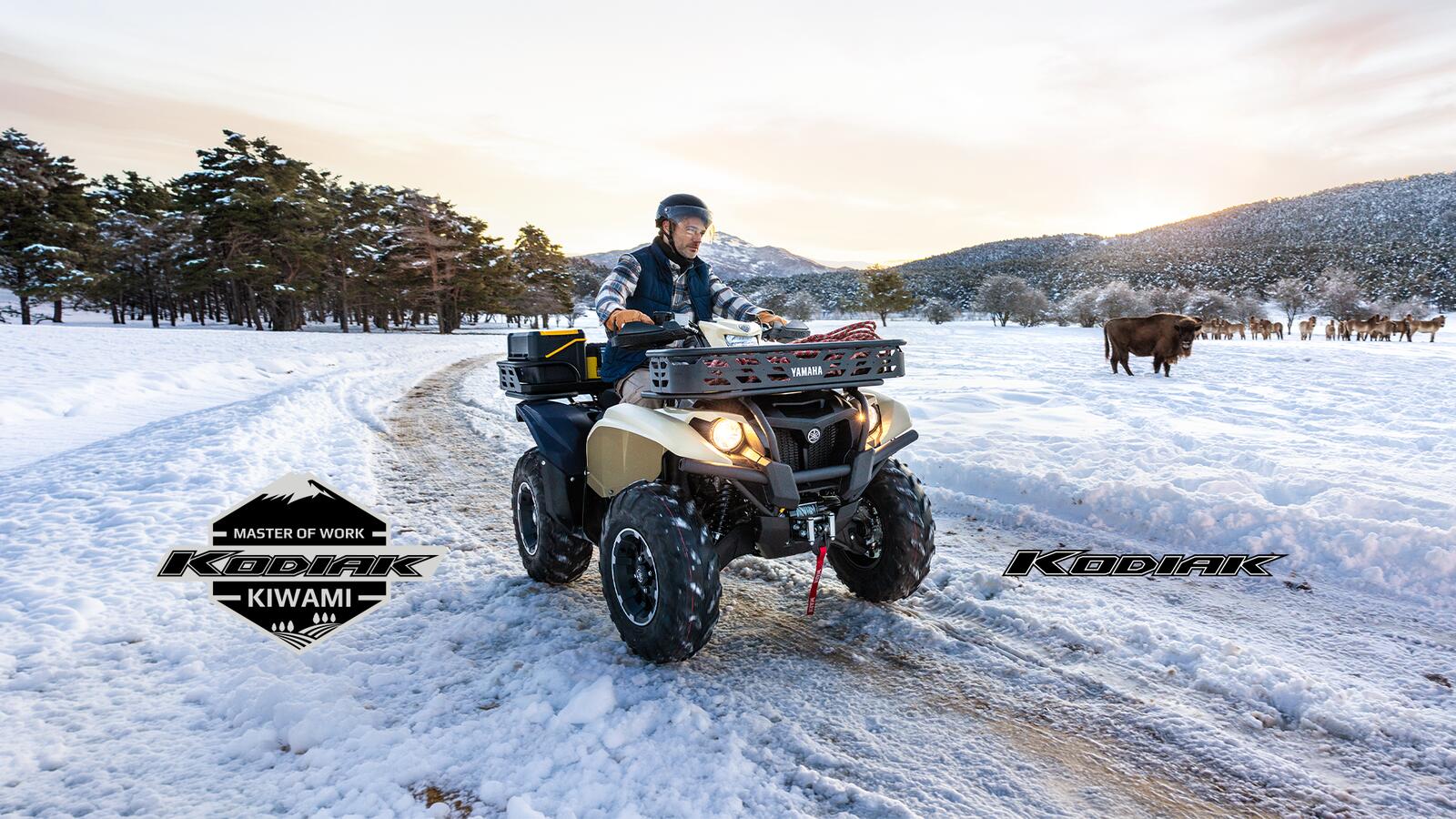 Yamaha Kodiak Kiwami